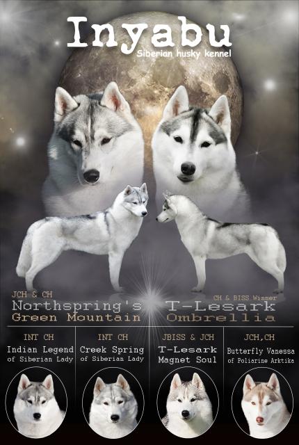 najava legla inyabu 2019.jpg